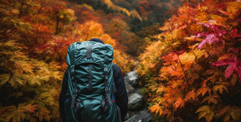 Туристические рюкзаки one-person-hiking-enjoying-autumn-colorful-beauty-generated-by-ai_009.jpg